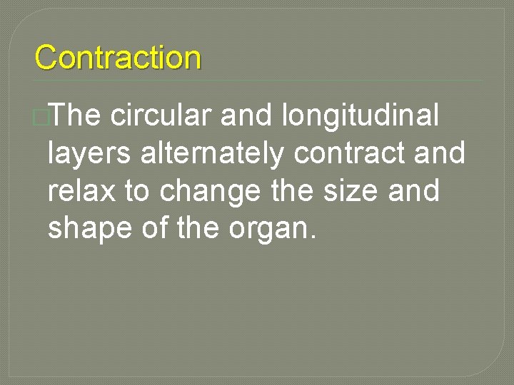 Contraction �The circular and longitudinal layers alternately contract and relax to change the size