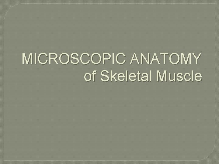 MICROSCOPIC ANATOMY of Skeletal Muscle 