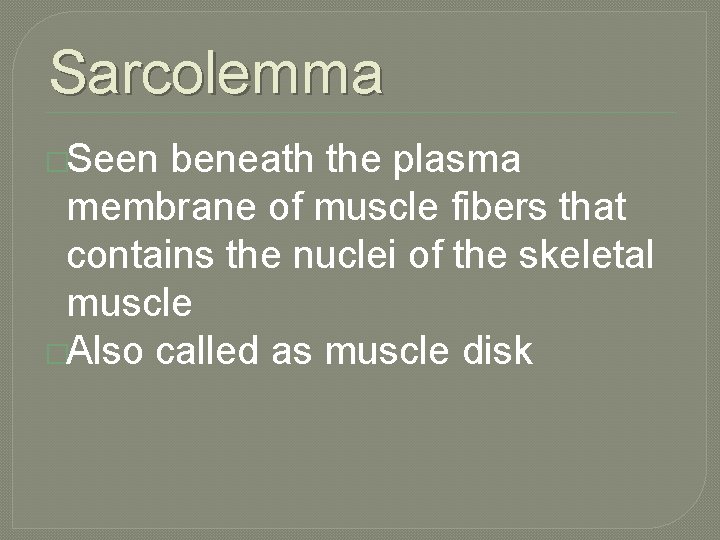 Sarcolemma �Seen beneath the plasma membrane of muscle fibers that contains the nuclei of