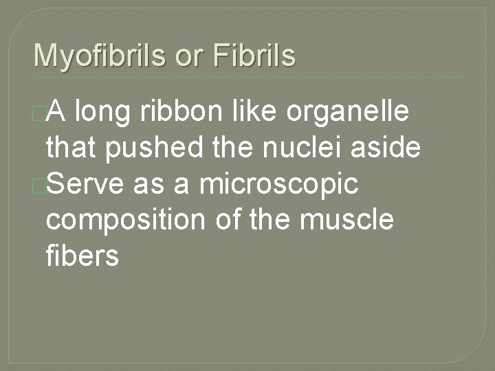 Myofibrils or Fibrils �A long ribbon like organelle that pushed the nuclei aside �Serve