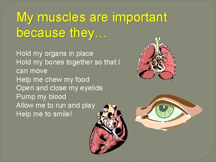My muscles are important because they… Hold my organs in place � Hold my