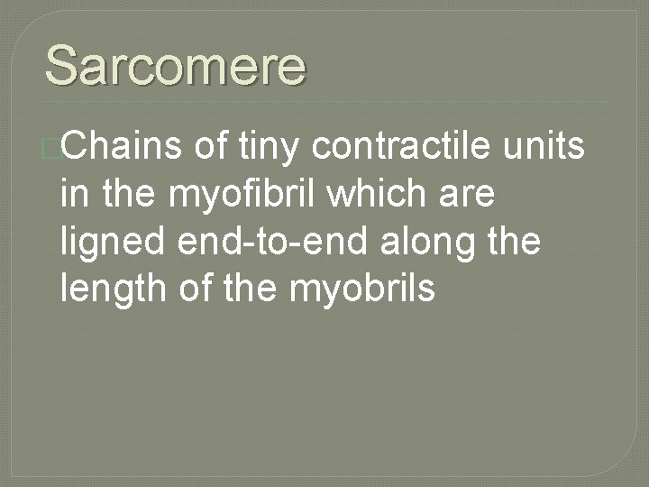 Sarcomere �Chains of tiny contractile units in the myofibril which are ligned end-to-end along