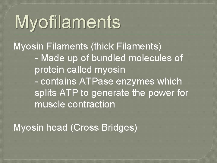 Myofilaments Myosin Filaments (thick Filaments) - Made up of bundled molecules of protein called