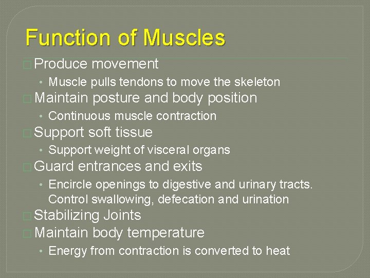 Function of Muscles � Produce movement • Muscle pulls tendons to move the skeleton
