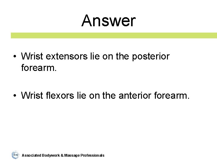 Answer • Wrist extensors lie on the posterior forearm. • Wrist flexors lie on