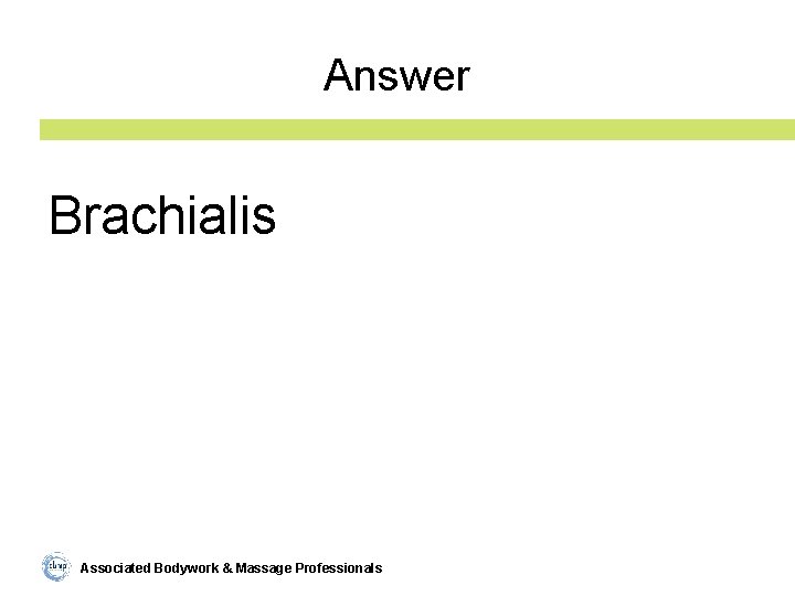 Answer Brachialis Associated Bodywork & Massage Professionals 