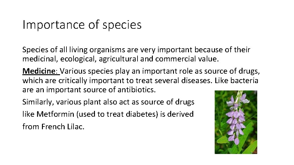 Importance of species Species of all living organisms are very important because of their