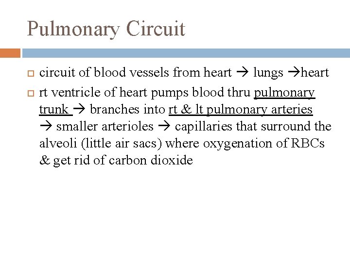 Pulmonary Circuit circuit of blood vessels from heart lungs heart rt ventricle of heart