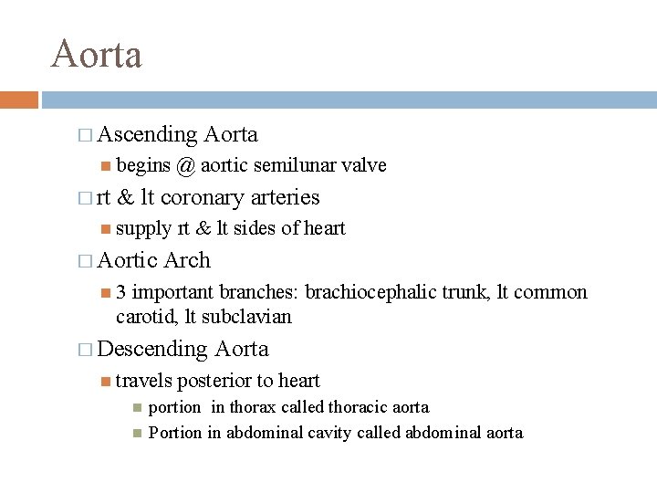 Aorta � Ascending begins � rt Aorta @ aortic semilunar valve & lt coronary