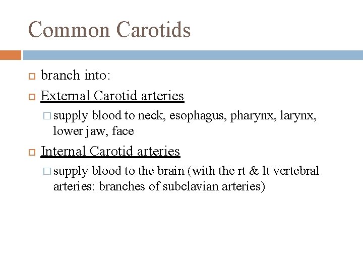 Common Carotids branch into: External Carotid arteries � supply blood to neck, esophagus, pharynx,