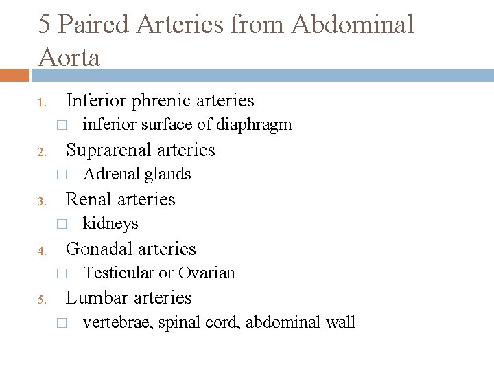 5 Paired Arteries from Abdominal Aorta 1. Inferior phrenic arteries � 2. Suprarenal arteries