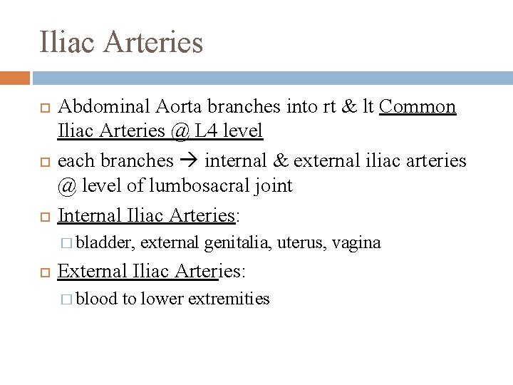 Iliac Arteries Abdominal Aorta branches into rt & lt Common Iliac Arteries @ L