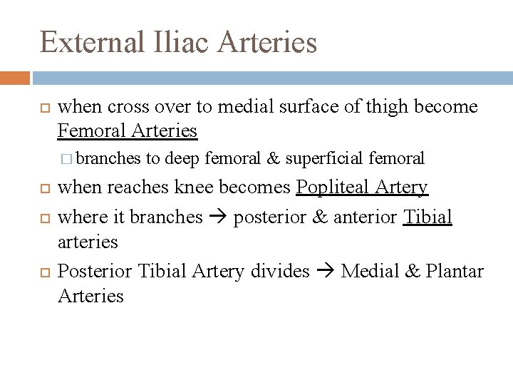 External Iliac Arteries when cross over to medial surface of thigh become Femoral Arteries