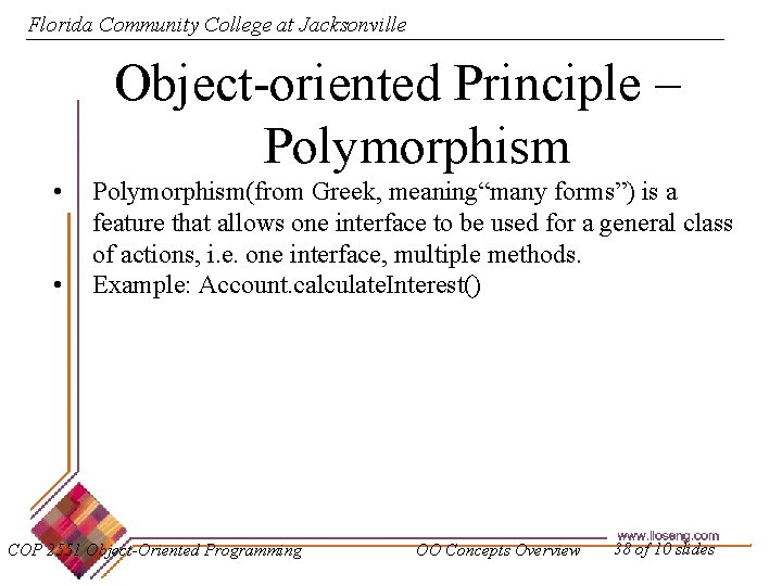 Florida Community College at Jacksonville Object-oriented Principle – Polymorphism • • Polymorphism(from Greek, meaning“many