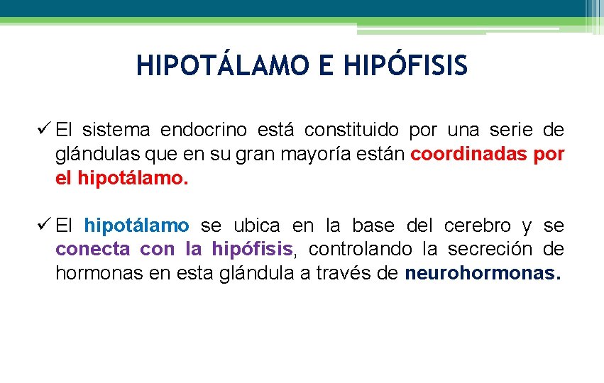 HIPOTÁLAMO E HIPÓFISIS ü El sistema endocrino está constituido por una serie de glándulas