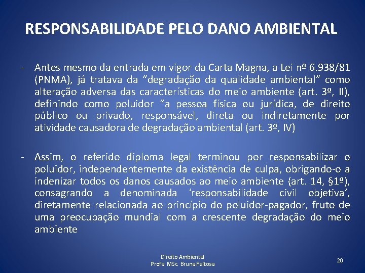 RESPONSABILIDADE PELO DANO AMBIENTAL - Antes mesmo da entrada em vigor da Carta Magna,