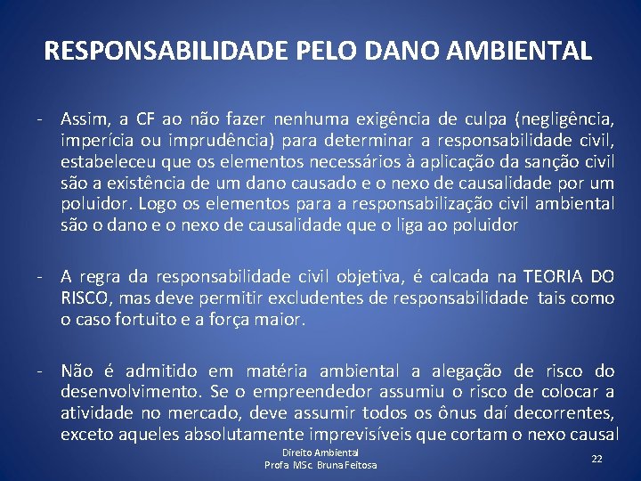 RESPONSABILIDADE PELO DANO AMBIENTAL - Assim, a CF ao não fazer nenhuma exigência de