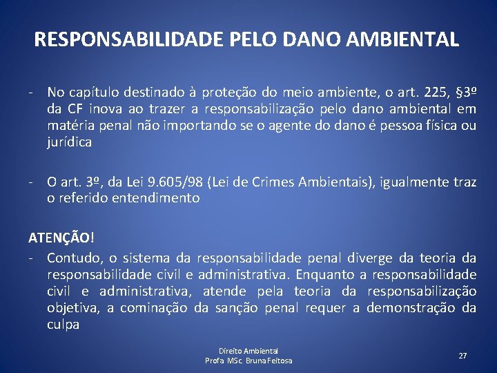 RESPONSABILIDADE PELO DANO AMBIENTAL - No capítulo destinado à proteção do meio ambiente, o
