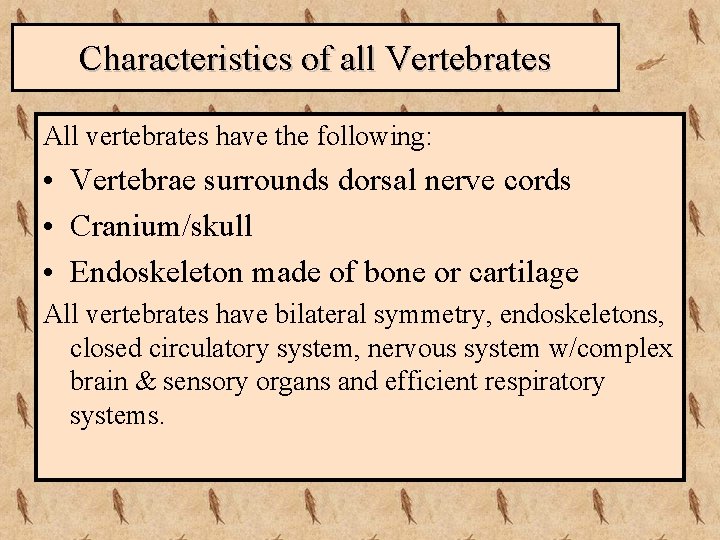 Characteristics of all Vertebrates All vertebrates have the following: • Vertebrae surrounds dorsal nerve