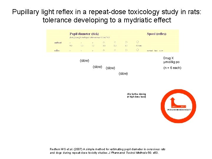 Pupillary light reflex in a repeat-dose toxicology study in rats: tolerance developing to a