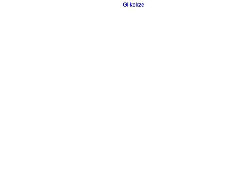 Glikolīze 
