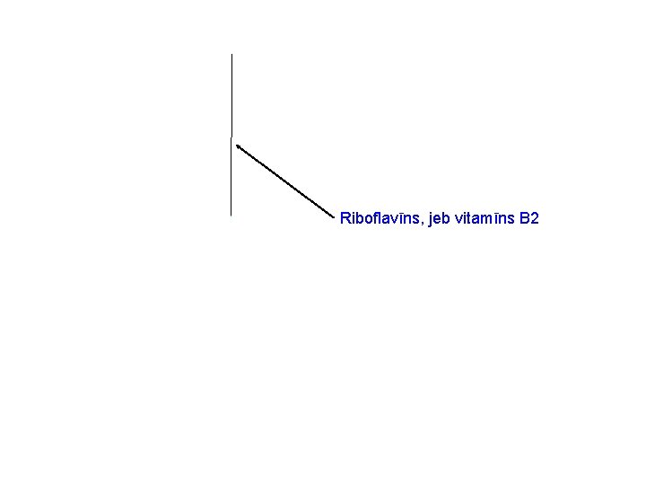 Riboflavīns, jeb vitamīns B 2 