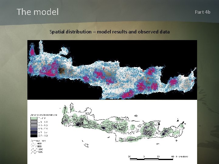 The model Spatial distribution – model results and observed data Part 4 b 