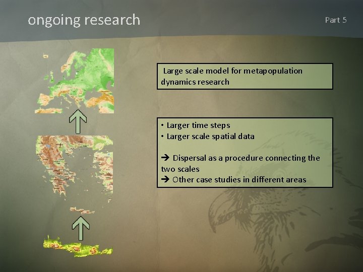 ongoing research Part 5 Large scale model for metapopulation dynamics research • Larger time