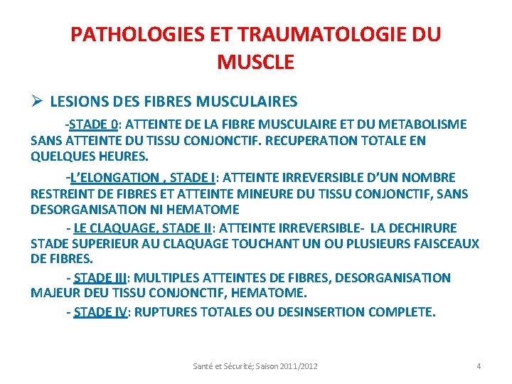 PATHOLOGIES ET TRAUMATOLOGIE DU MUSCLE Ø LESIONS DES FIBRES MUSCULAIRES -STADE 0: ATTEINTE DE