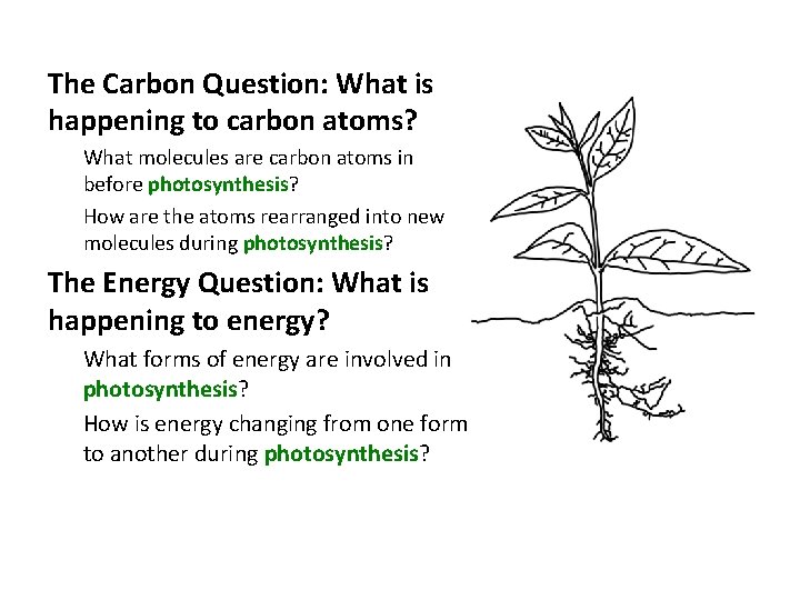 The Carbon Question: What is happening to carbon atoms? What molecules are carbon atoms