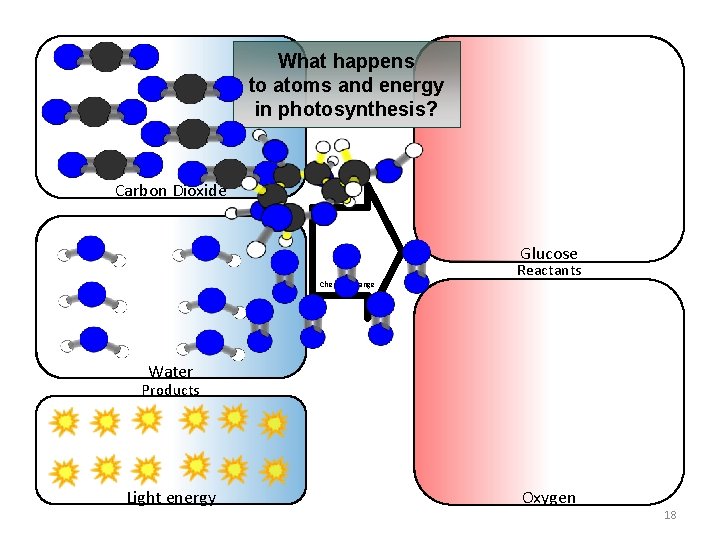 What happens to atoms and energy in photosynthesis? Carbon Dioxide Glucose Chemical change Reactants