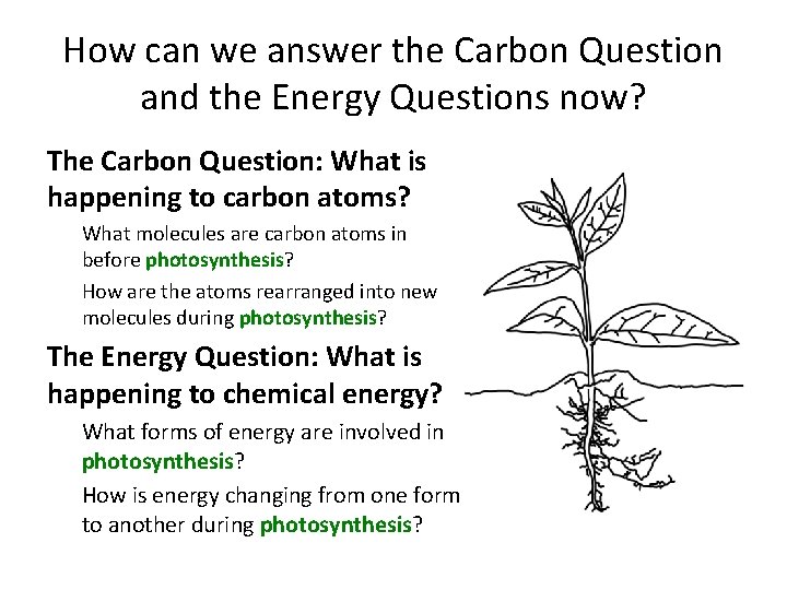 How can we answer the Carbon Question and the Energy Questions now? The Carbon