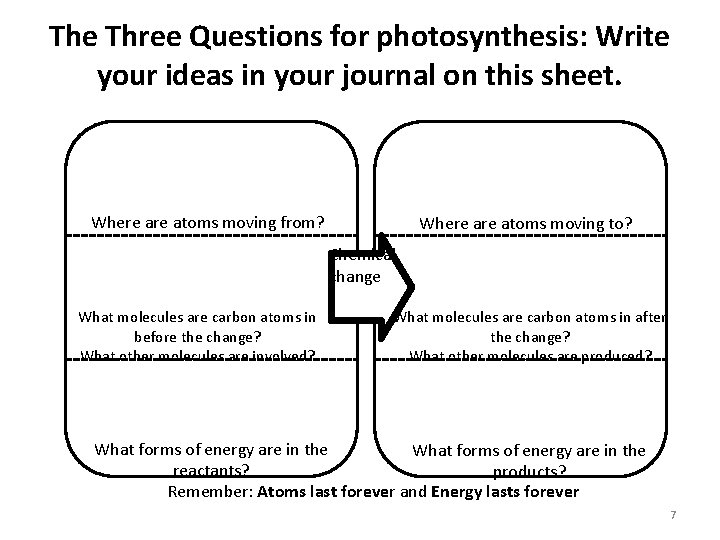 The Three Questions for photosynthesis: Write your ideas in your journal on this sheet.