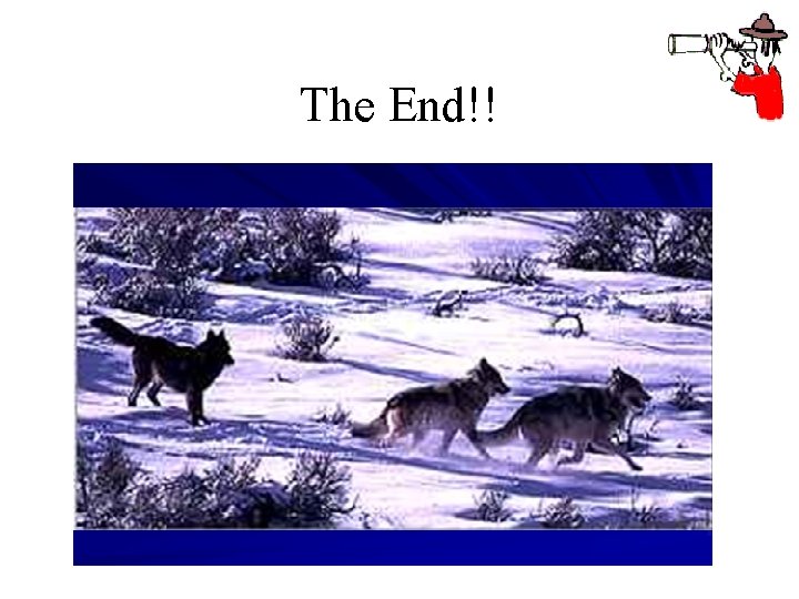 The End!! 