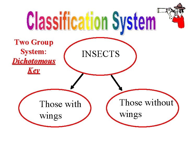 Two Group System: Dichotomous Key Those with wings INSECTS Those without wings 