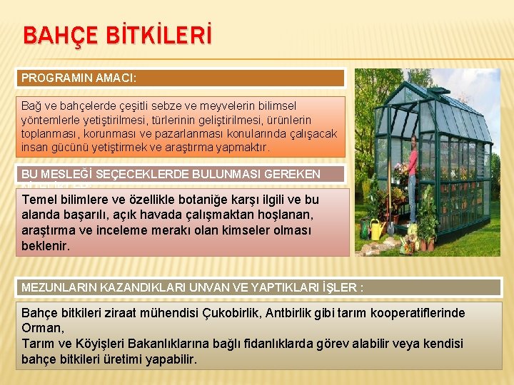 BAHÇE BİTKİLERİ PROGRAMIN AMACI: Bağ ve bahçelerde çeşitli sebze ve meyvelerin bilimsel yöntemlerle yetiştirilmesi,