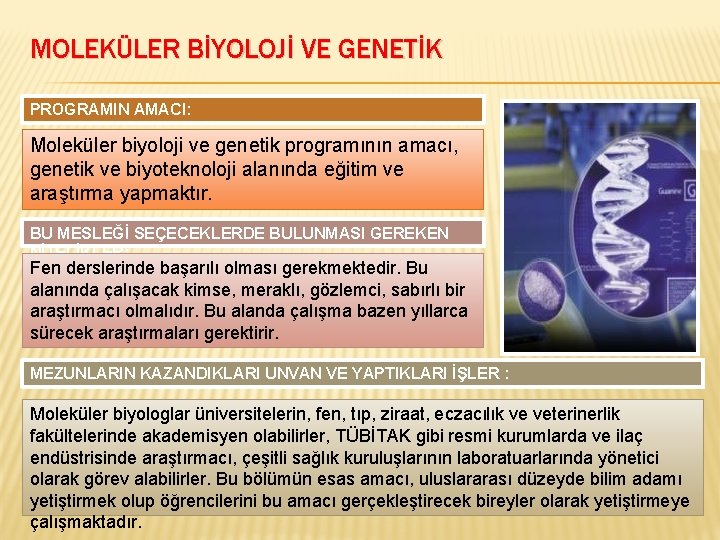 MOLEKÜLER BİYOLOJİ VE GENETİK PROGRAMIN AMACI: Moleküler biyoloji ve genetik programının amacı, genetik ve