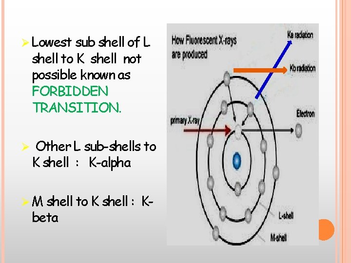 Ø Lowest sub shell of L shell to K shell not possible known as Ø Lowest sub shell of L shell to K shell not possible known as