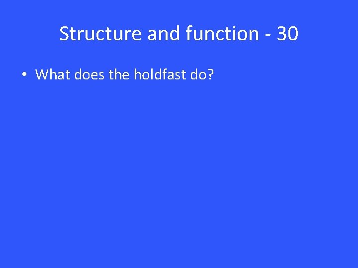 Structure and function - 30 • What does the holdfast do? 