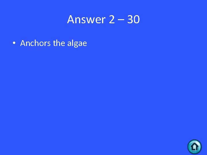 Answer 2 – 30 • Anchors the algae 