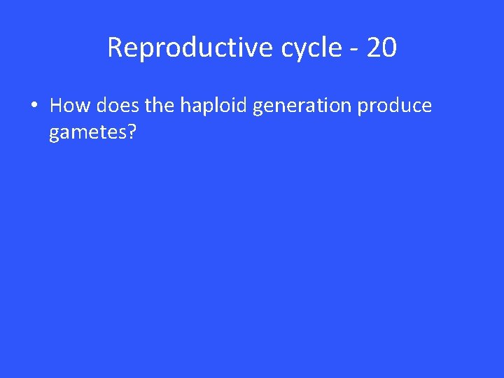 Reproductive cycle - 20 • How does the haploid generation produce gametes? 
