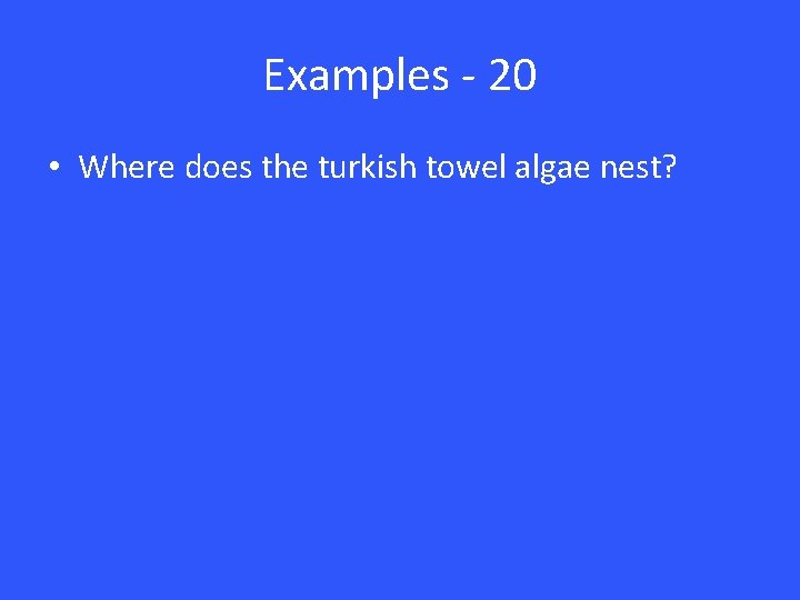 Examples - 20 • Where does the turkish towel algae nest? 