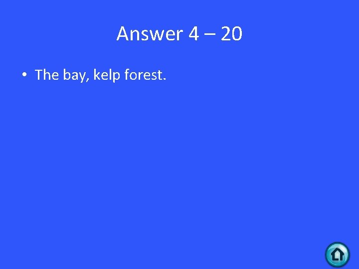 Answer 4 – 20 • The bay, kelp forest. 