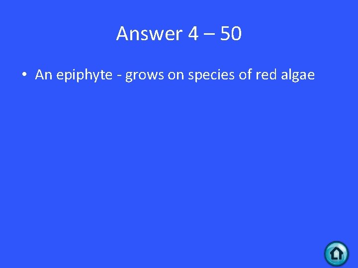 Answer 4 – 50 • An epiphyte - grows on species of red algae