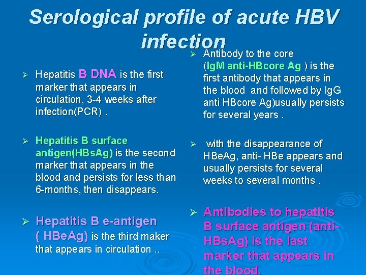 Serological profile of acute HBV infection Ø Antibody to the core Ø Hepatitis B