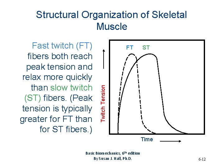 Structural Organization of Skeletal Muscle FT ST Twitch Tension Fast twitch (FT) fibers both