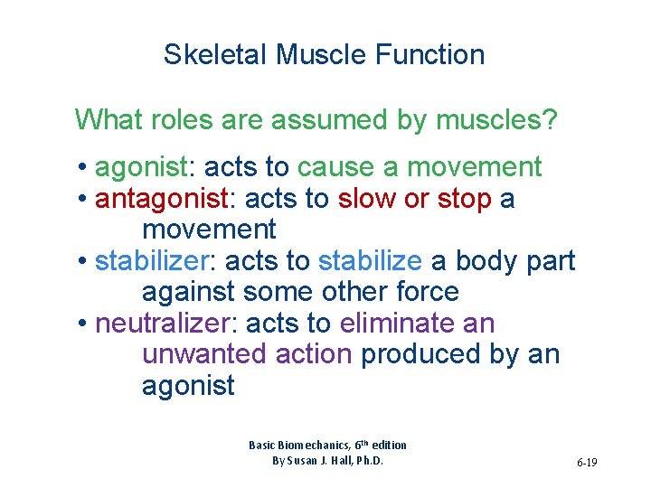 Skeletal Muscle Function What roles are assumed by muscles? • agonist: acts to cause
