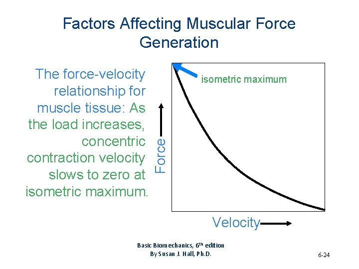 Factors Affecting Muscular Force Generation isometric maximum Force The force-velocity relationship for muscle tissue: