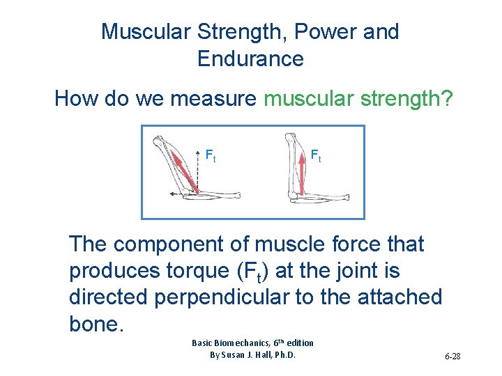 Muscular Strength, Power and Endurance How do we measure muscular strength? Ft Ft The