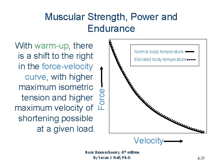 Muscular Strength, Power and Endurance Normal body temperature Elevated body temperature Force With warm-up,